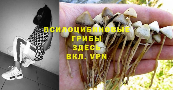 прущая мука Абинск