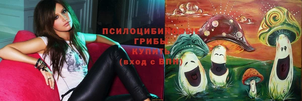 кокс Инта