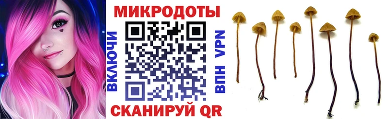 Галлюциногенные грибы Magic Shrooms  закладки  Мостовской 